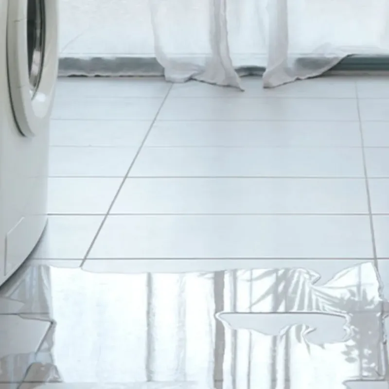 Appliance Leak Cleanup in Crescent City, FL