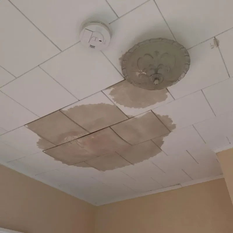 Ceiling Water Damage Repair in Crescent City, FL