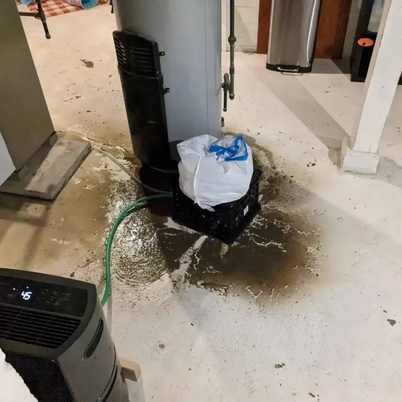 Sewage Backup Cleanup Service in Crescent City, FL
